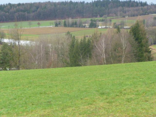 Blockhaus Mit Wlan Bayern Villa Stamsried Exterior photo
